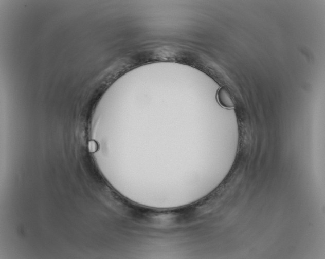 X0000114090313200910051215