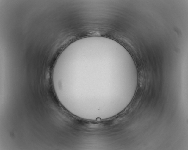 X0000114090314200910051215
