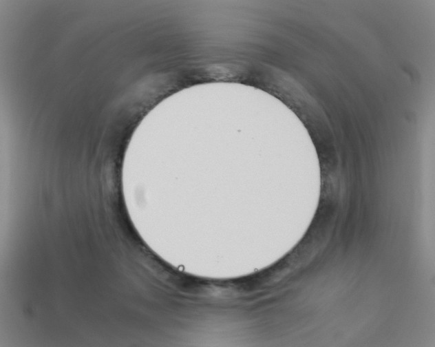 X0000114090317200910051215