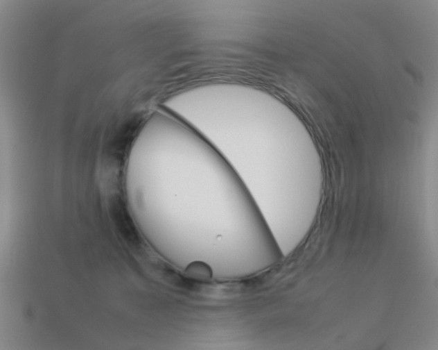 X0000114090323200910051215