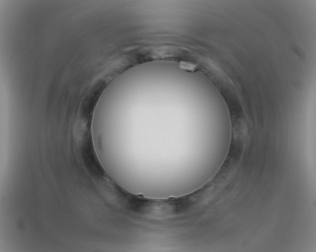 X0000114090327200910051215