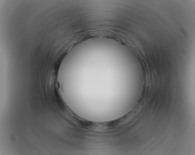 X0000114090328200910051215