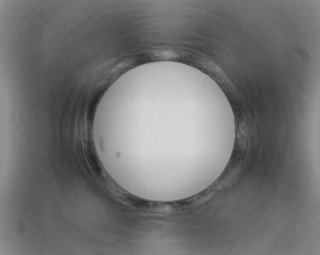 X0000114090330200910051215