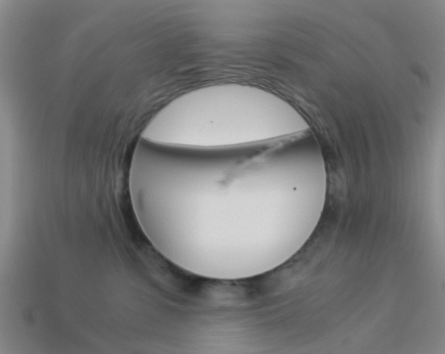 X0000114090331200910051215