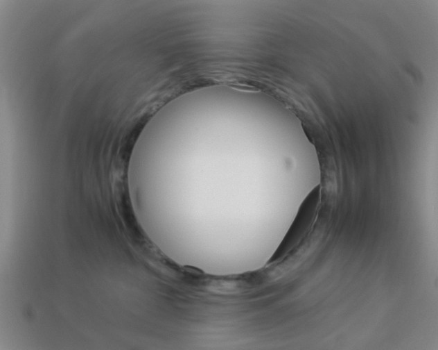 X0000114090332200910051215
