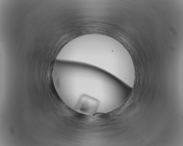 X0000114090333200910051215