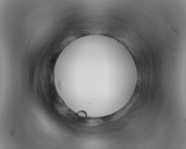 X0000114090334200910051215