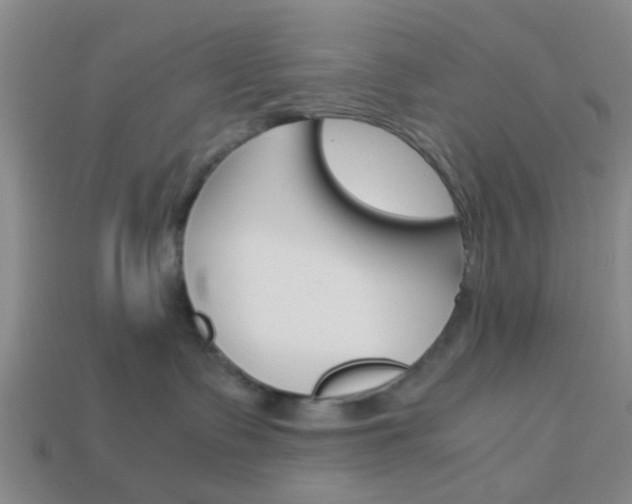 X0000114090335200910051215
