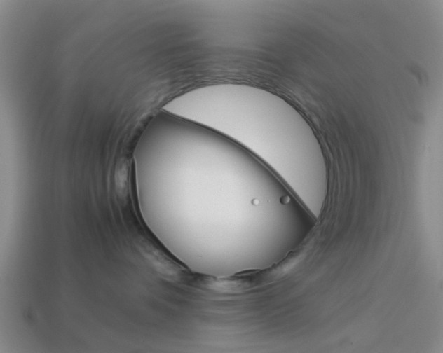 X0000114090336200910051215