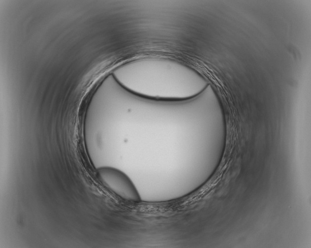 X0000114090338200910051215