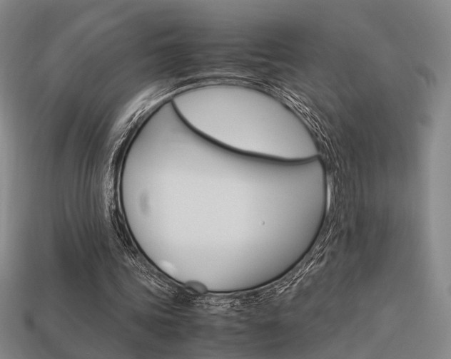 X0000114090339200910051215