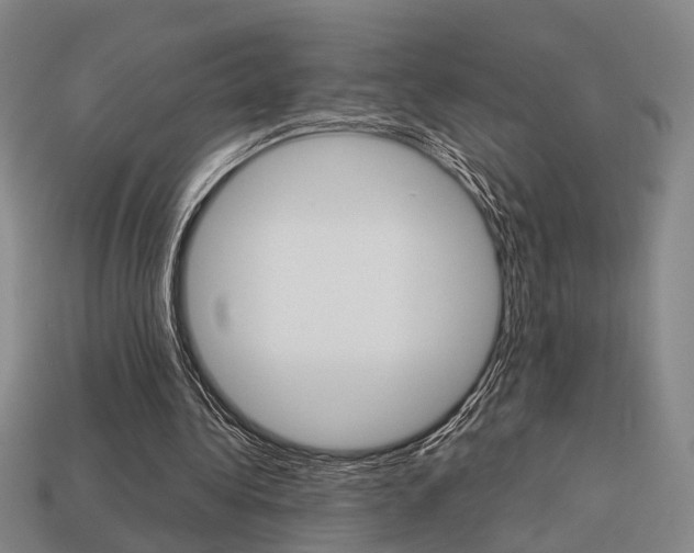 X0000114090340200910051215