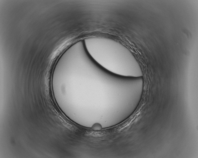 X0000114090341200910051215