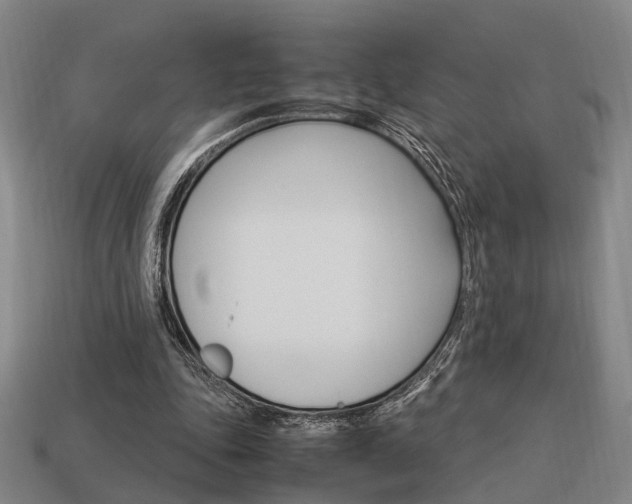 X0000114090343200910051215