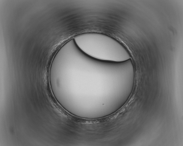 X0000114090345200910051215