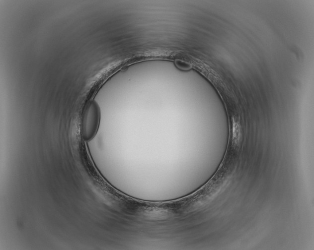 X0000114090348200910051215