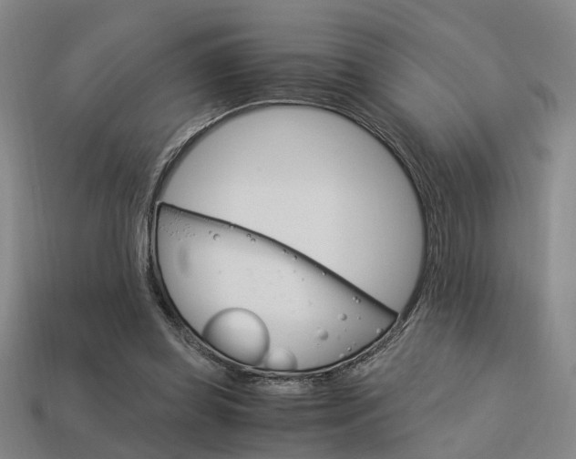 X0000114090349200910051215