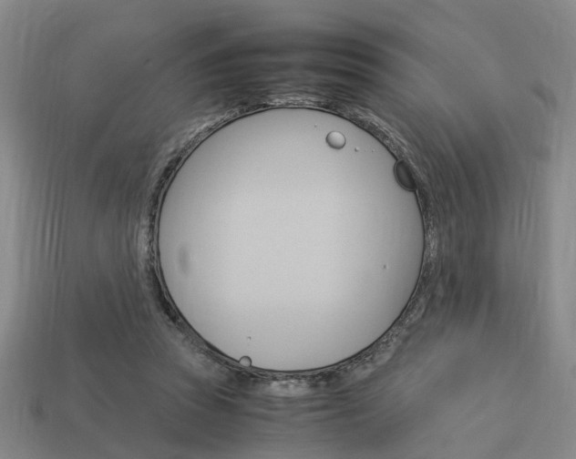 X0000114090353200910051215