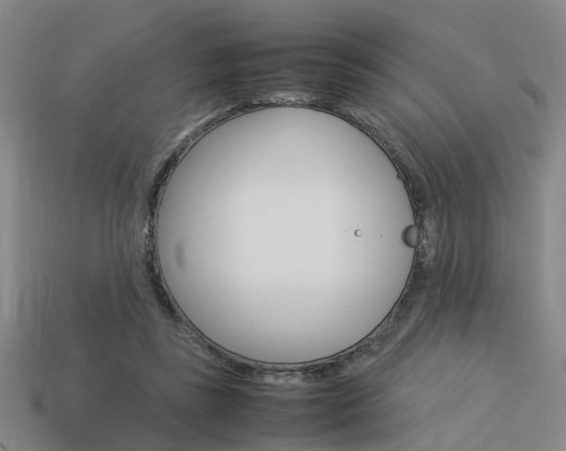 X0000114090355200910051215
