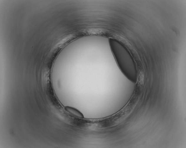 X0000114090356200910051215