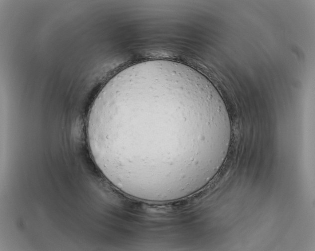 X0000114090359200910051215