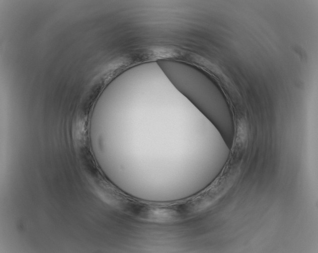X0000114090360200910051215