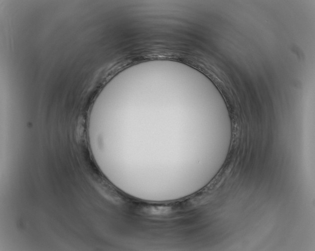 X0000114090361200910051215
