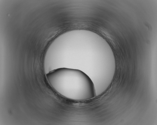 X0000114090362200910051215