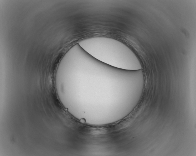 X0000114090363200910051215