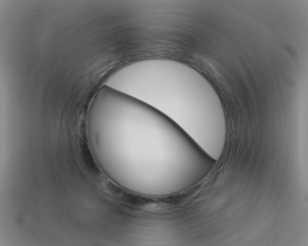 X0000114090364200910051215