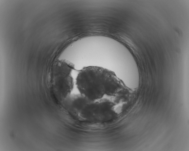 X0000114090365200910051215