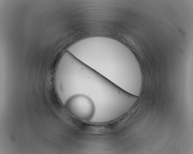 X0000114090366200910051215