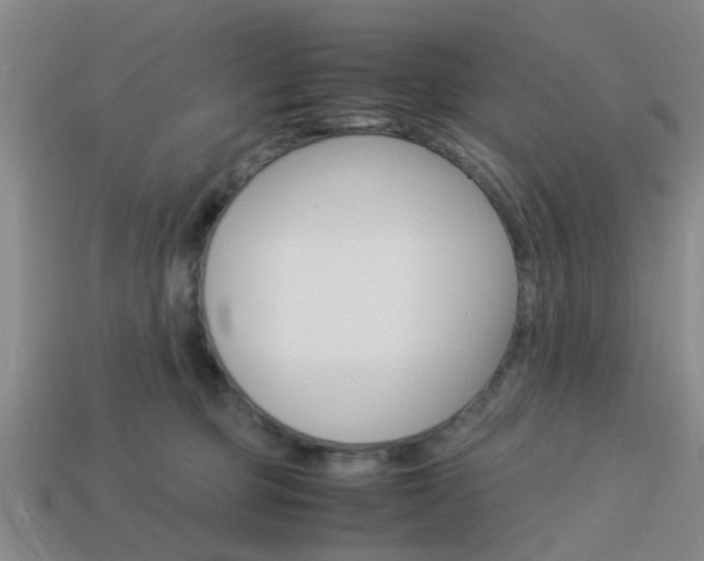 X0000114090373200910051215