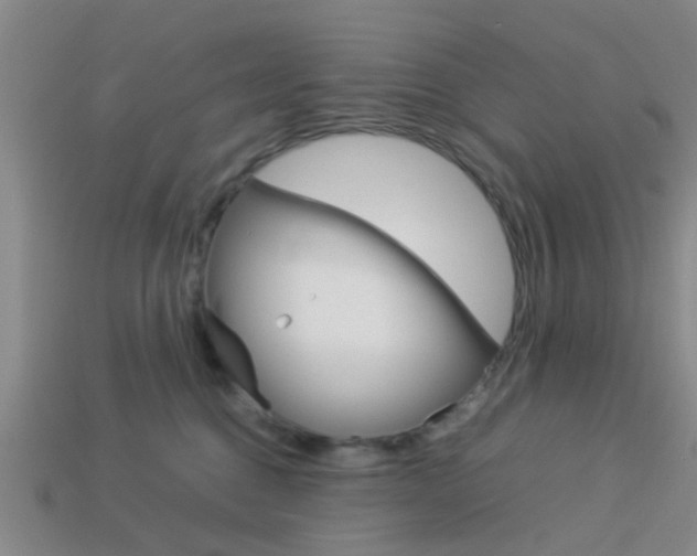 X0000114090376200910051215