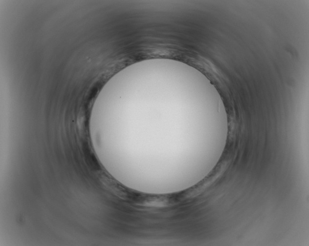 X0000114090377200910051215