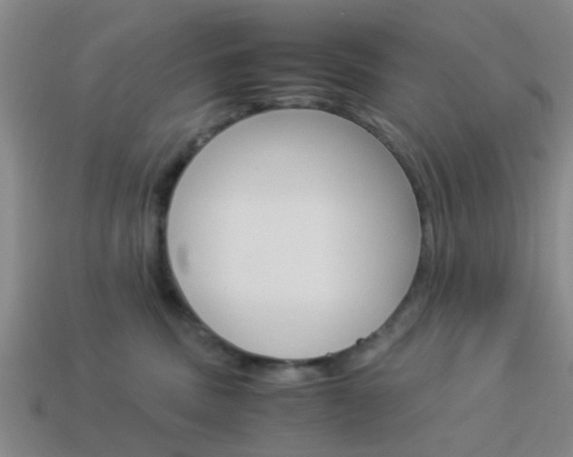 X0000114090379200910051215