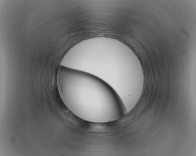 X0000114090380200910051215