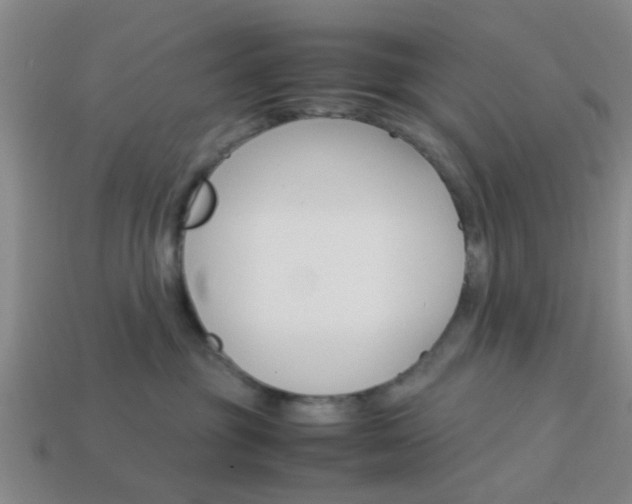 X0000114090381200910051215