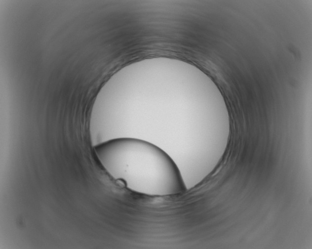 X0000114090382200910051215