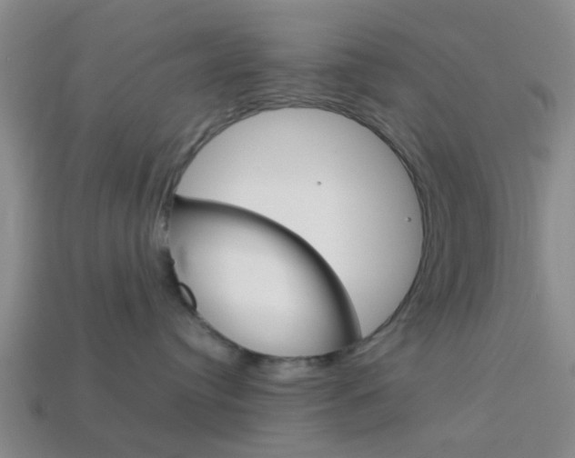 X0000114090384200910051215