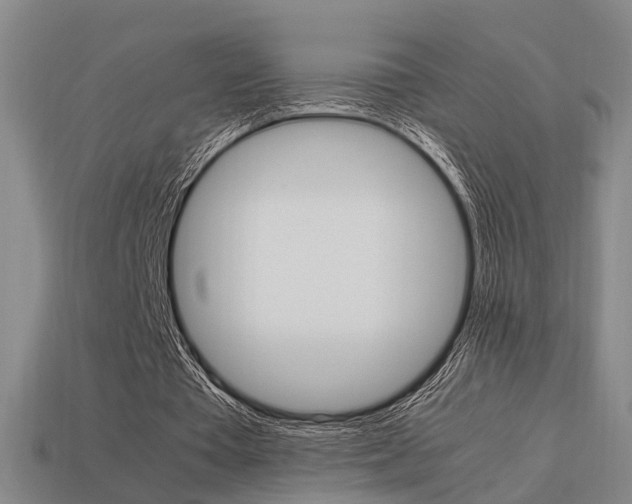 X0000114090385200910051214