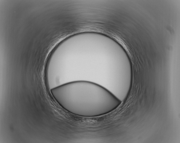 X0000114090387200910051214