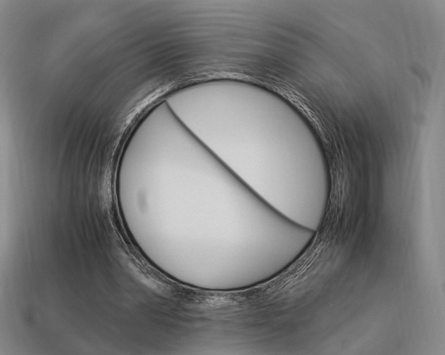 X0000114090390200910051214