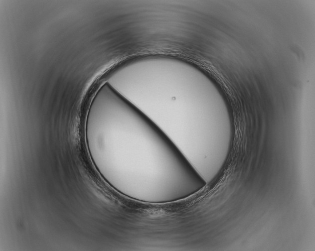 X0000114090392200910051214