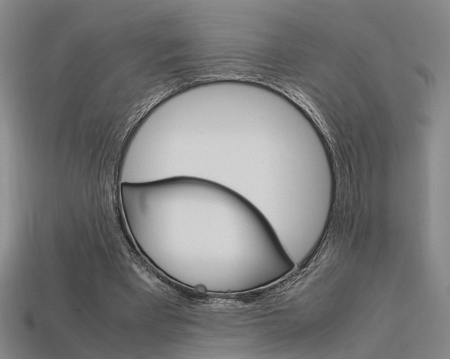 X0000114090393200910051214