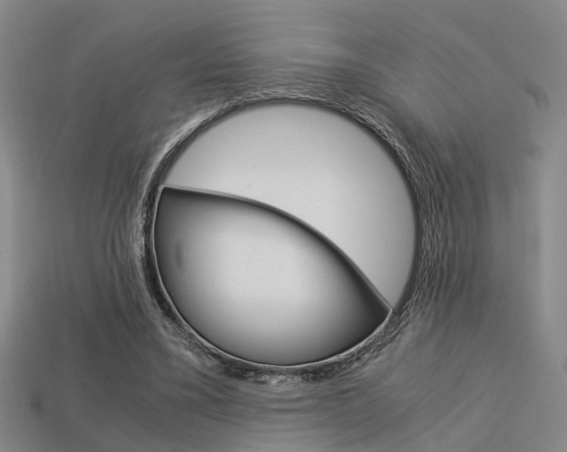 X0000114090395200910051214