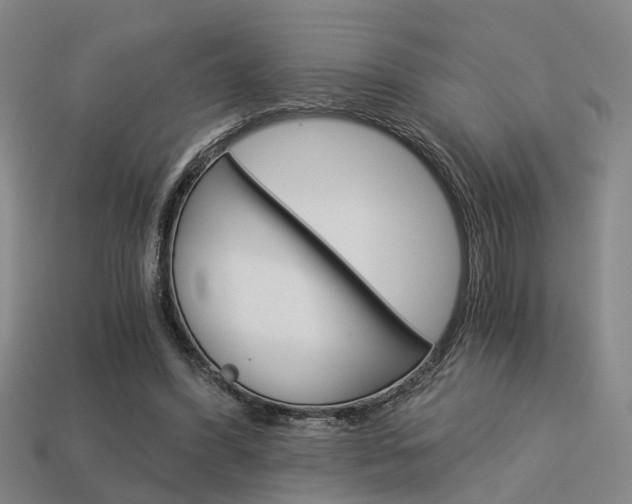 X0000114090396200910051214