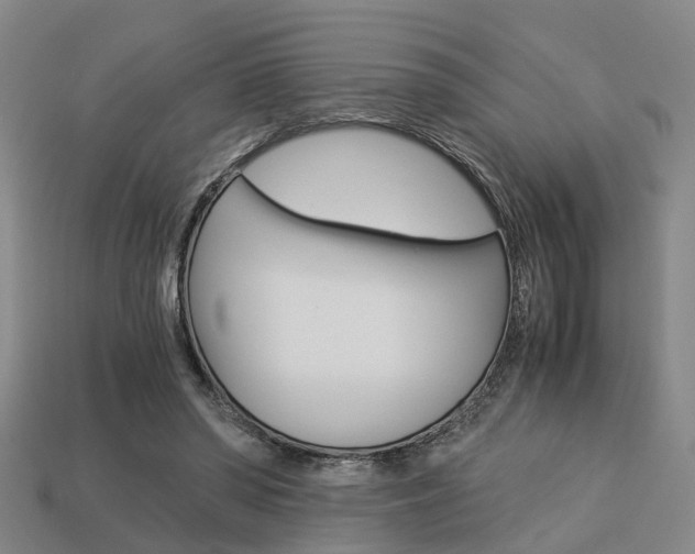 X0000114090398200910051214