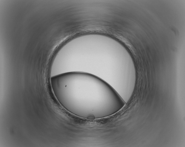 X0000114090399200910051214