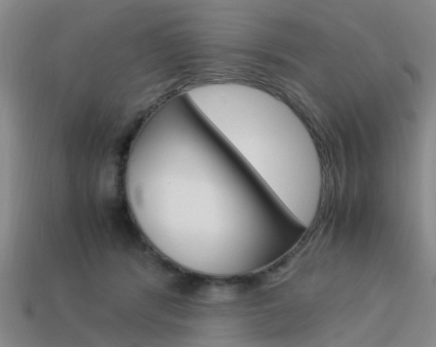 X0000114090416200910051214